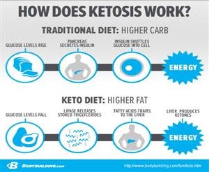 Practical Keto Meal Plans for Cancer Pdf